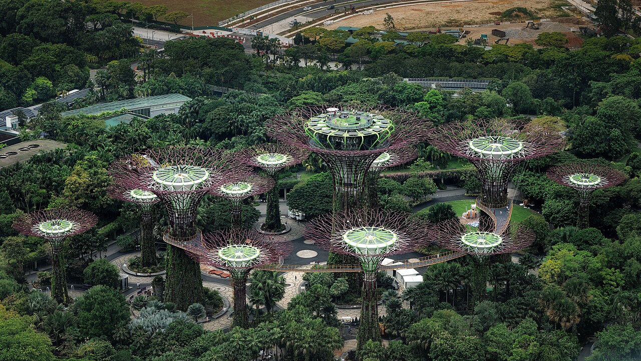 Supertrees rising above the greenery at Gardens by the Bay